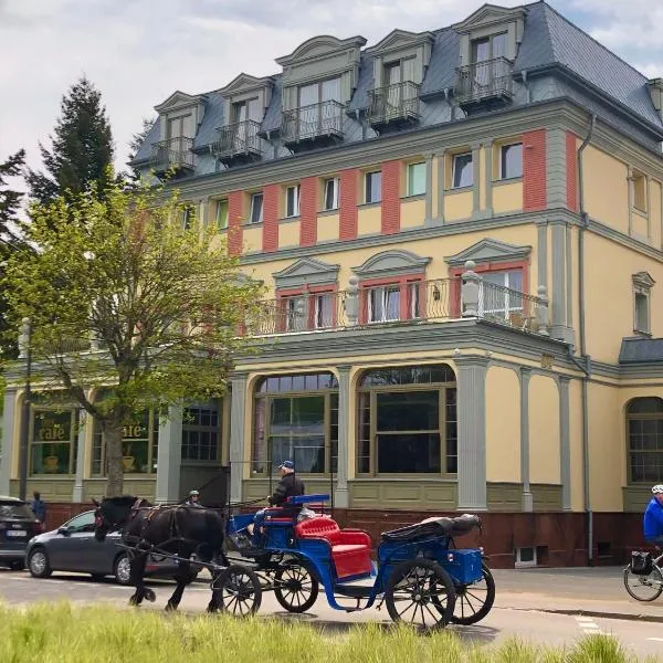 埃利斯旅馆，位于斯维诺乌伊希切的酒店