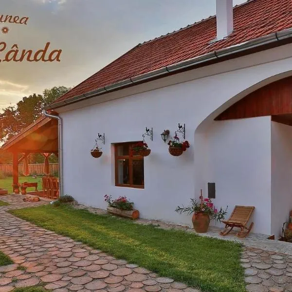 Casa Cânda，位于Sălaşu de Sus的酒店
