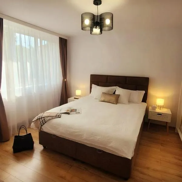 Studio TAD HOUSE Hunedoara，位于胡内多阿拉的酒店
