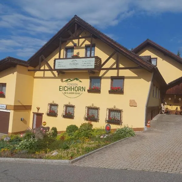 Pension Eichhorn，位于拜尔里舍艾森施泰恩的酒店