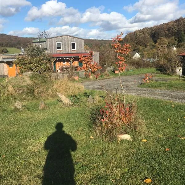 RechHof Urlaub bei Tieren，位于Schalkenbach的酒店