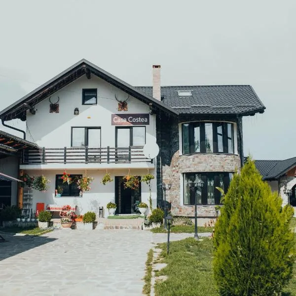 Casa Costea，位于Voroneţ的酒店