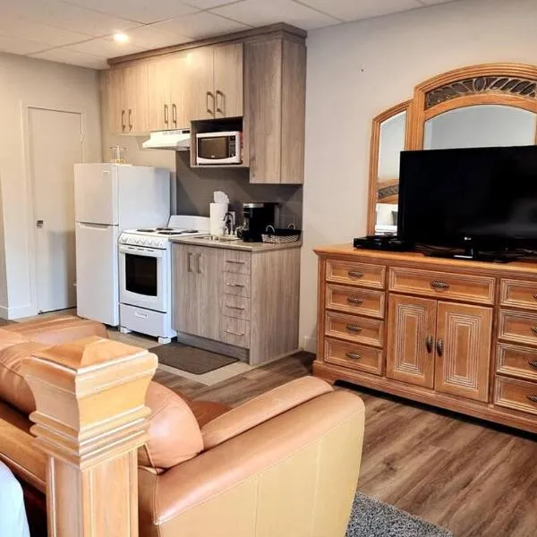 Cozy Spacious 1-BDR Studio #8. FREE Parking，位于加蒂诺的酒店