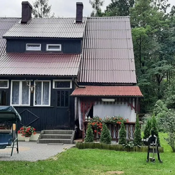 Domek - Leśna Kryjówka，位于Promnik的酒店