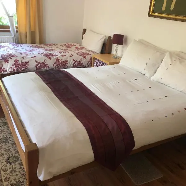 Cabana Sweetlife，位于Ocoliş的酒店