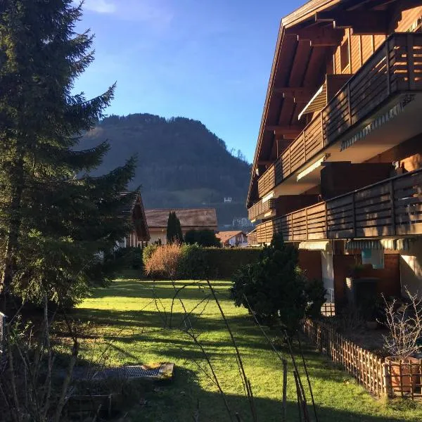 Ferienwohnung Interlaken/Wilderswil，位于维尔德斯韦尔的酒店