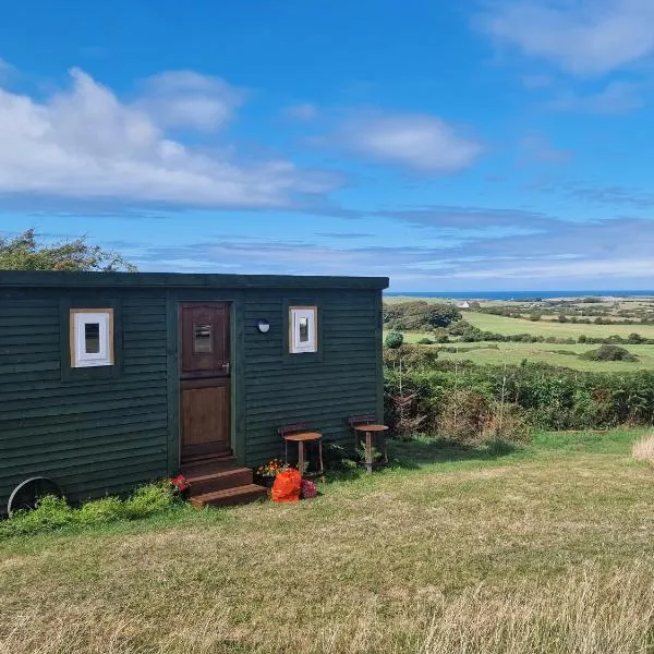 Stunning 1-Bed shepherd hut，位于本莱赫的酒店