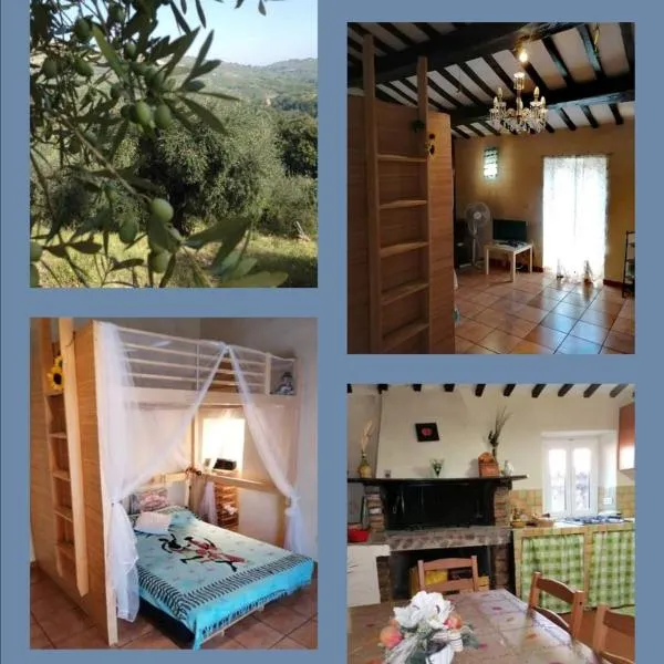 Casa di Olly - Loft incantevole con camino，位于Poggio Nativo的酒店