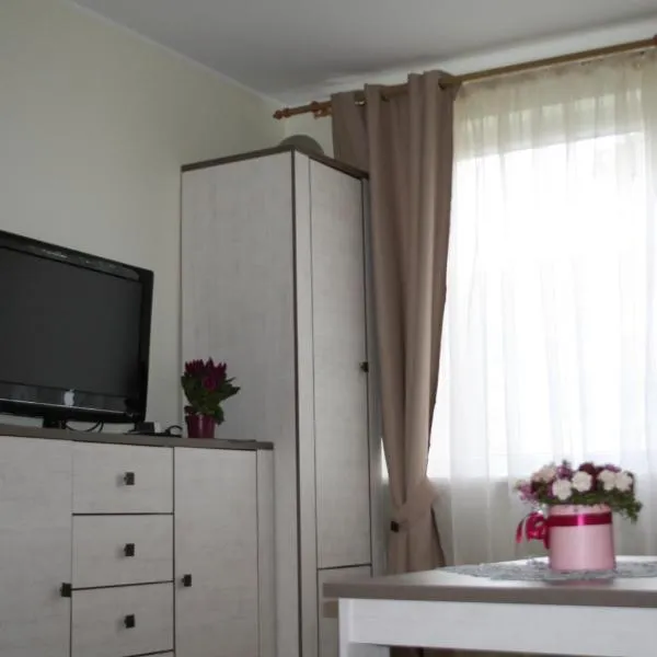 Cosy one room apartment，位于维尔纽斯的酒店