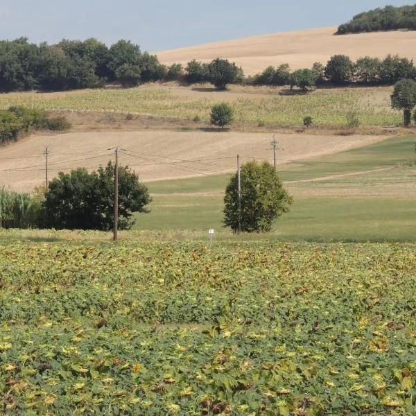 Les treilles d'en Peyre，位于Auriac-sur-Vendinelle的酒店