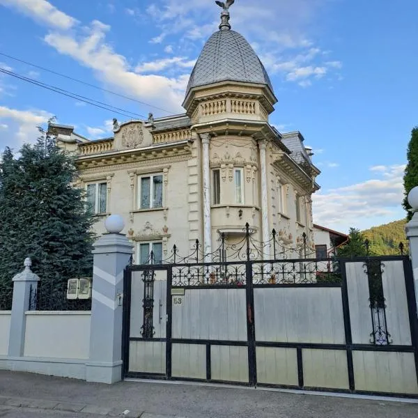 Casa Irimescu，位于古拉哈莫卢洛伊的酒店