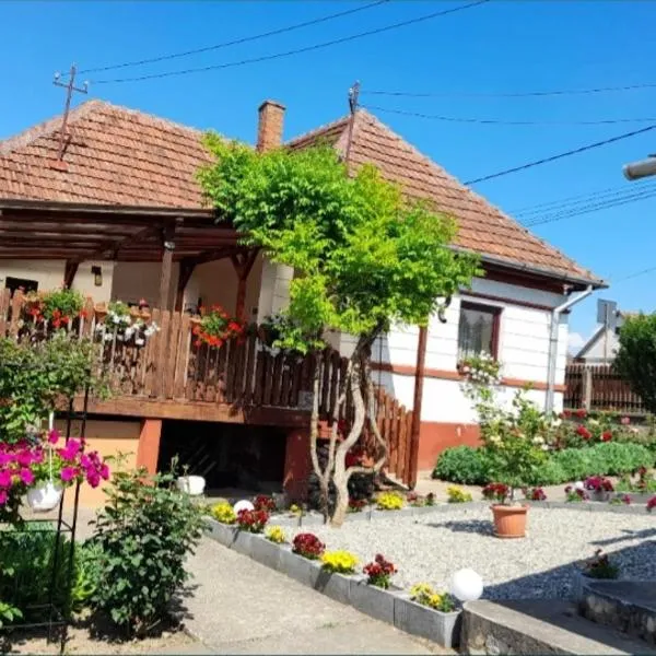 Casa Teonia，位于Camăr的酒店