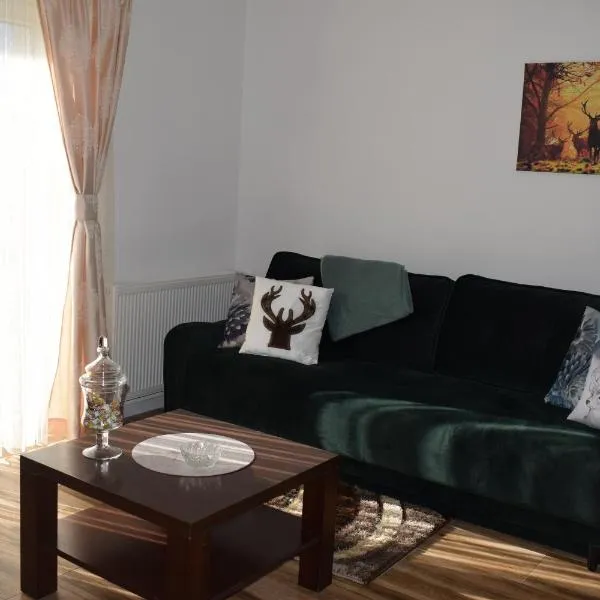 Apartman Bambi，位于Vojnić的酒店