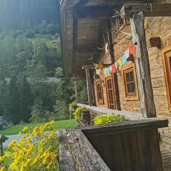 Ferienhaus Gaishütte，位于金兹灵的酒店