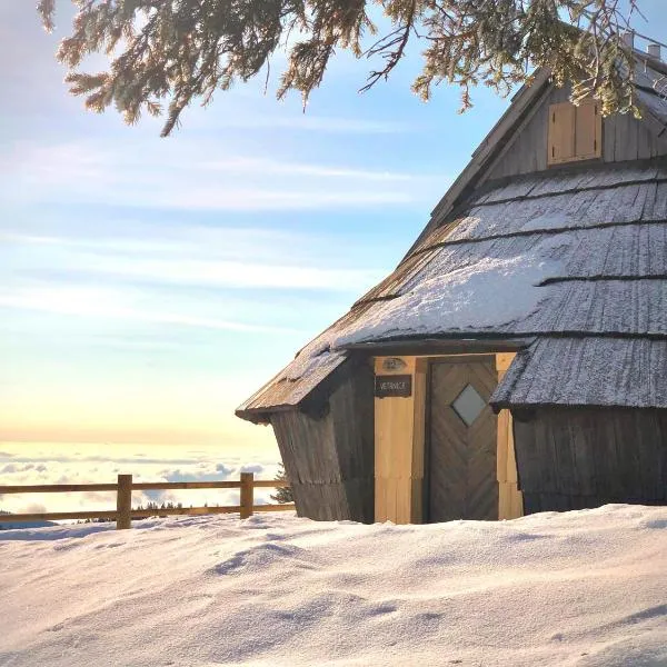 Chalet Velika Planina - I FEEL ALPS，位于泽高杰耶泽尔斯科的酒店