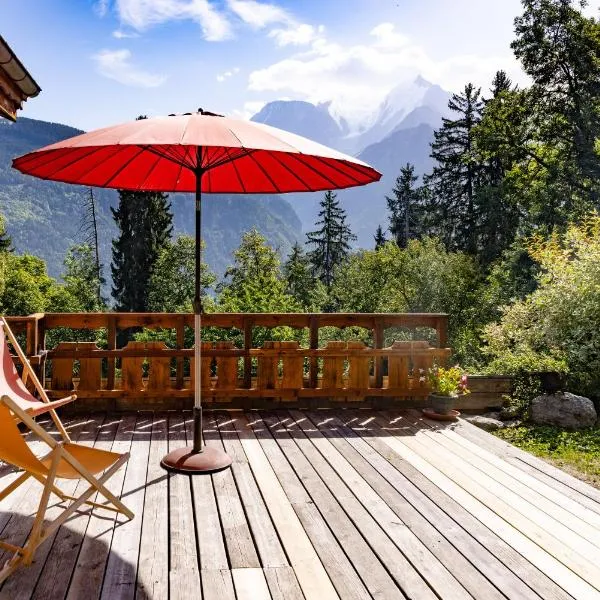 Très beau chalet vue Mont-blanc，位于梅杰夫的酒店