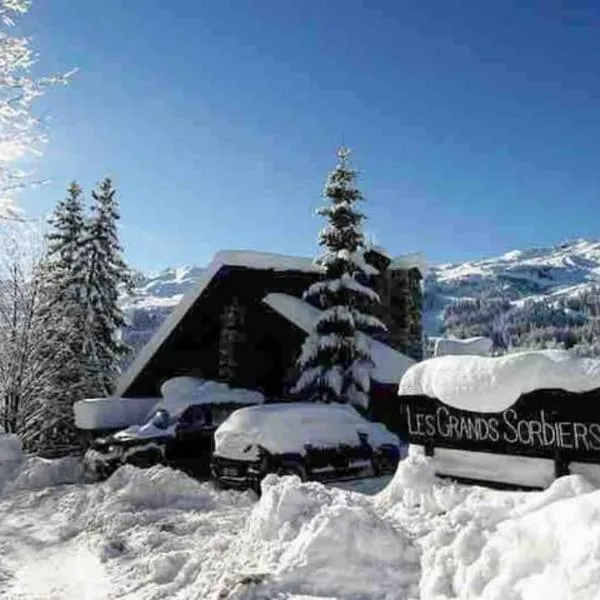 Les GRANDS SORBIERS à Méribel - Charmant studio situé à 2 pas des pistes & du centre de Méribel，位于莱斯奥琉斯的酒店