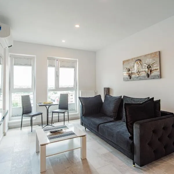 Cozy Penthousestudio Cityview W12，位于布加勒斯特的酒店