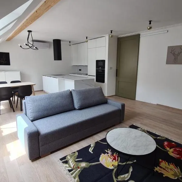 The Gusto apartmán，位于霍穆托夫的酒店