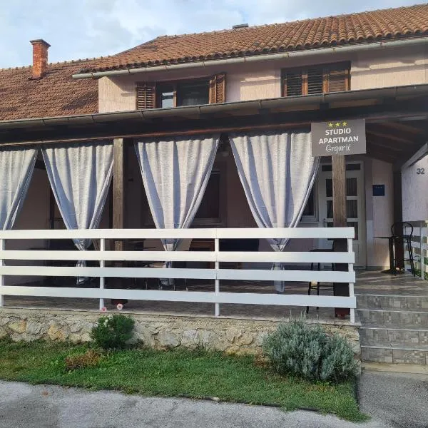 Studio Apartman Grgurić，位于Netretić的酒店