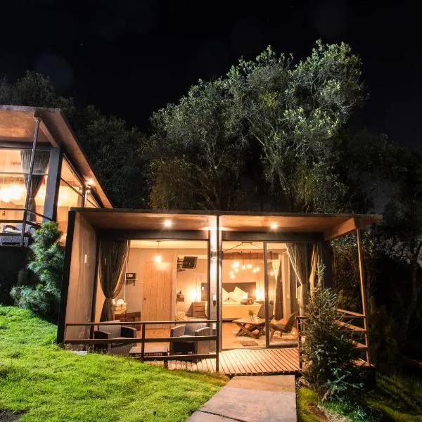 Orgánico Hotel Boutique，位于墨西哥城的酒店