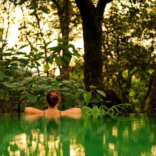 Wayanad Wild - Rainforest Lodge by CGH Earth，位于维特利的酒店