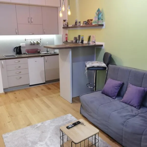 Apartman Julija，位于Palisad的酒店