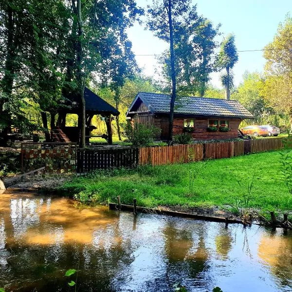 Jurajska Sielanka - domek nad rzeczką，位于扎维尔切的酒店