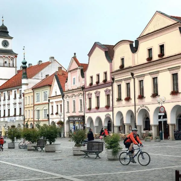 黄金之星酒店，位于Lomnice nad Lužnicí的酒店