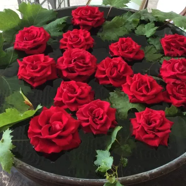 Eveline 2 - Piscina Privata o Jacuzzi，位于圣雷莫的酒店