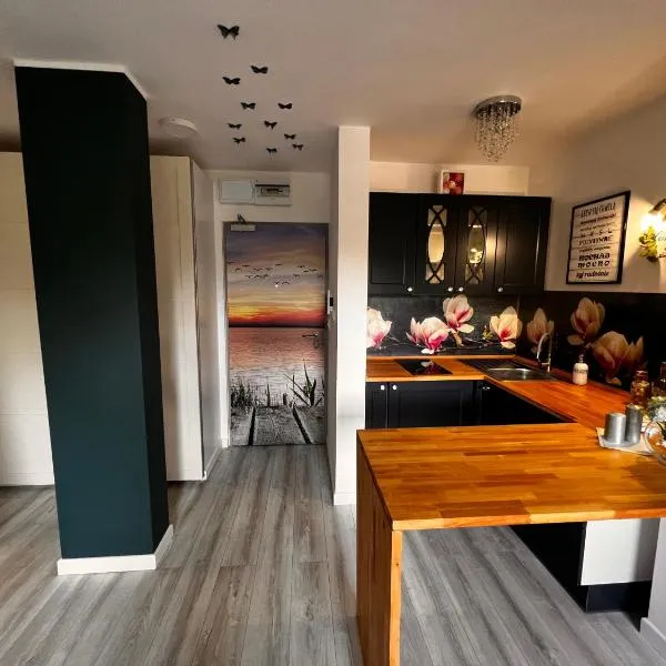 Przyjemny apartament nad zalewem，位于斯诺科的酒店