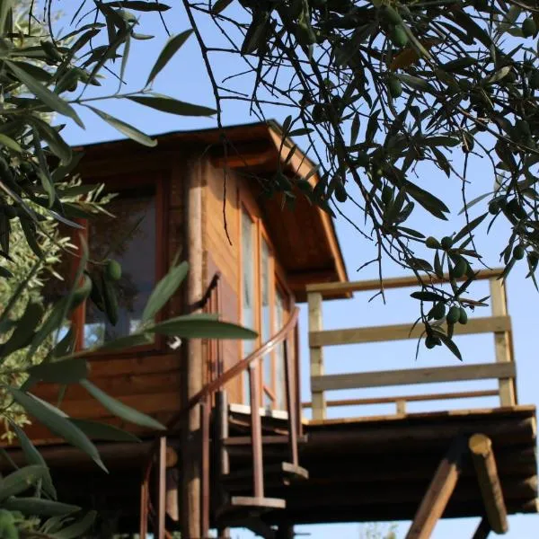 The Treehouse - Casa sull'albero al Golden Camp，位于法莱尔纳的酒店