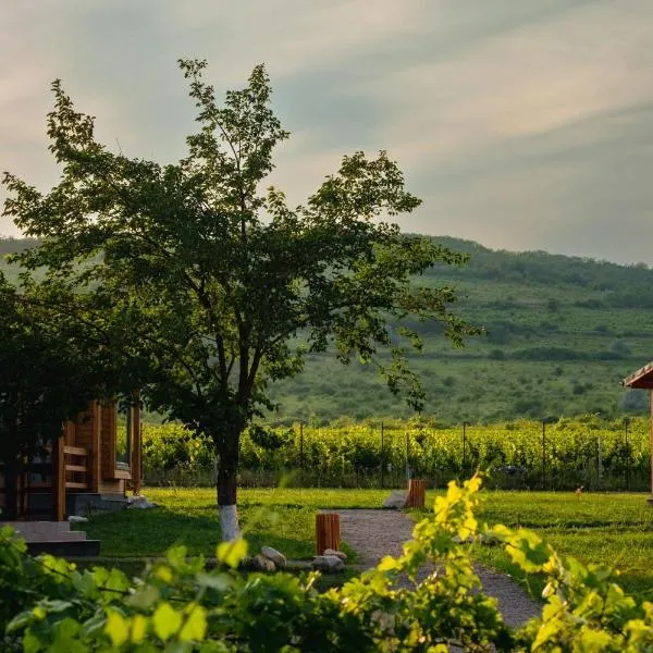 Shurra，位于Merei的酒店