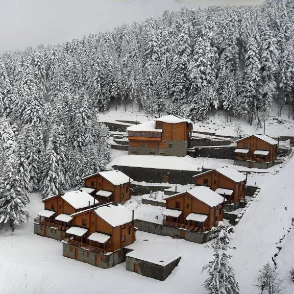 Xilino Horio，位于Chrysomiléa的酒店