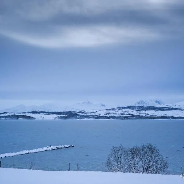 Great apartment with a lovely view of the sea and mountains，位于Nygård的酒店