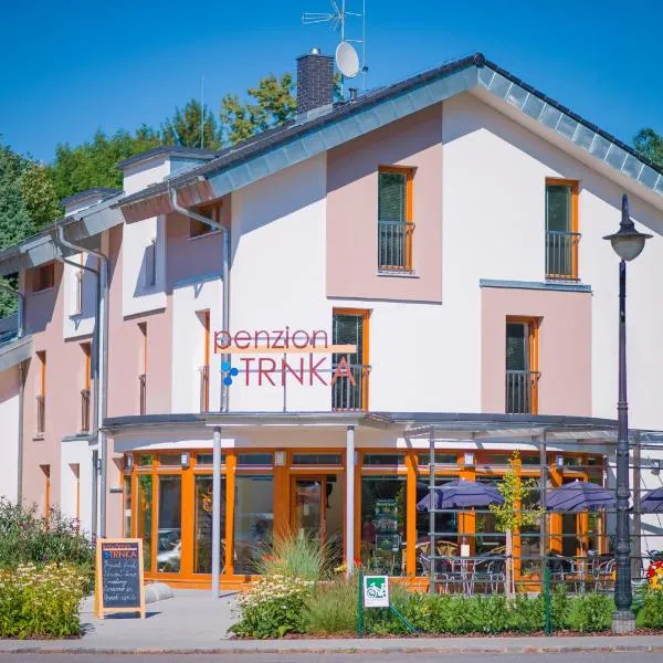 Penzion Trnka，位于Skořenice的酒店