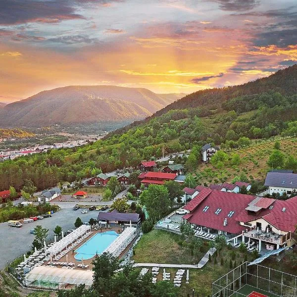 Complex Turistic Creanga Resort & Spa，位于Nicoreşti的酒店