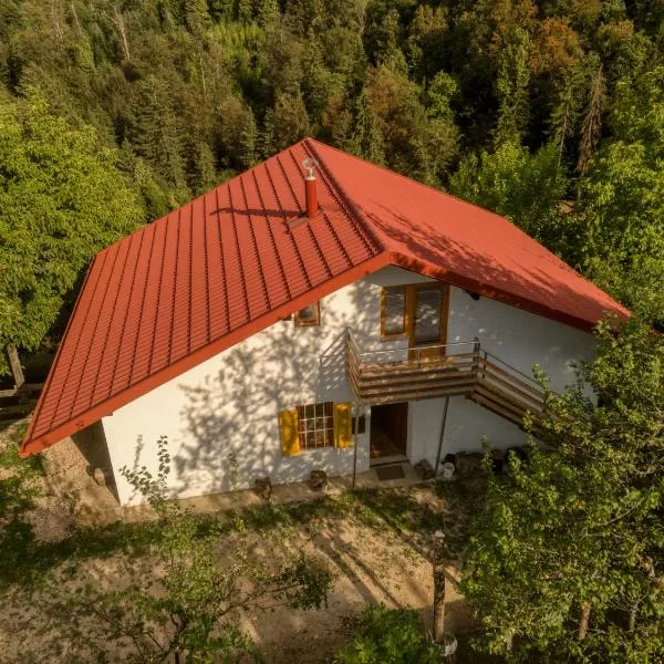 Cottage surrounded by forests - The Sunny Hill，位于Šempeter v Savinjski Dolini的酒店