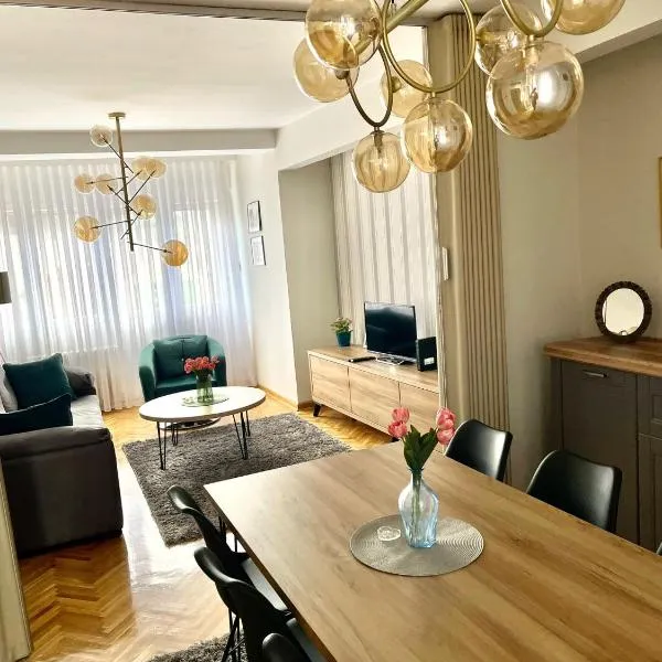 Apartman Filip Lux City Center，位于新帕扎尔的酒店