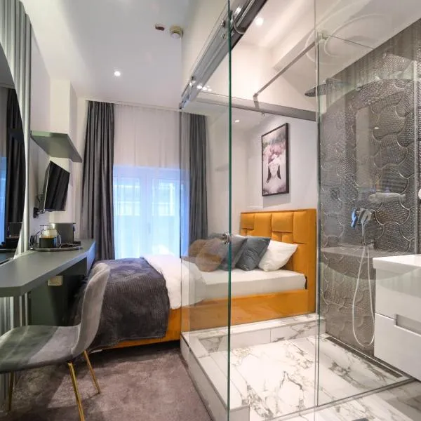 Pedestrian street Center of Belgrade - mini rooms with paid PARKING，位于贝尔格莱德的酒店