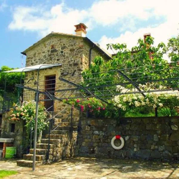 Agriturismo Brasino，位于福斯迪诺沃的酒店