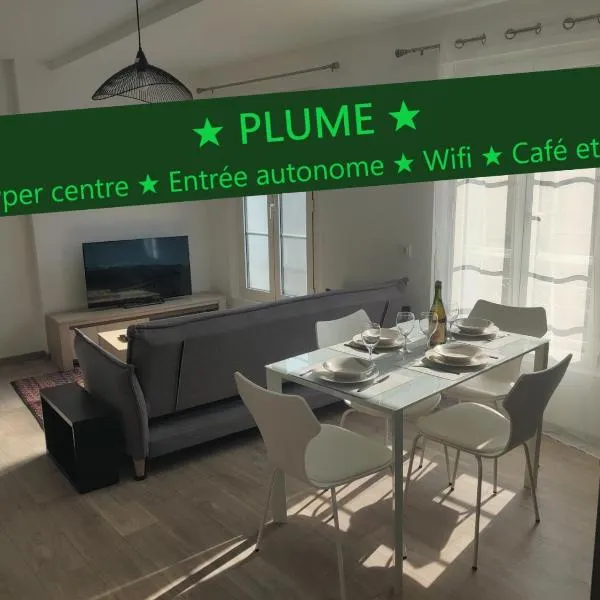 Appartement T3 PLUME Hyper centre d'ERNÉE，位于Montenay的酒店