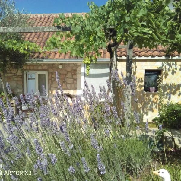 Apartmans Lavanda Island Hvar，位于斯塔里格勒的酒店