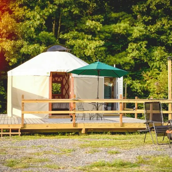 Eco Friendly Glamping Yurt In Roan Mountain Tn，位于Roan Mountain的酒店