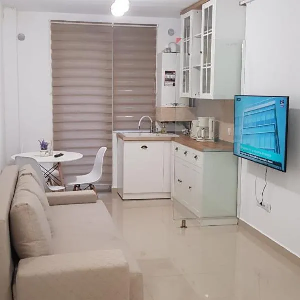 Apartament Vila Brana Sibiu Selimbar str Nicolae Brana Nr 63 Ap 4，位于谢林伯尔的酒店