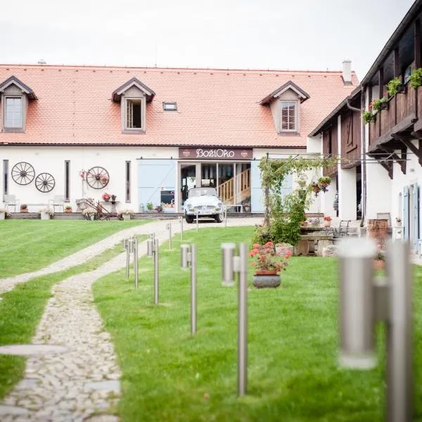 博兹欧考健康酒店，位于Malé Chrášťany的酒店