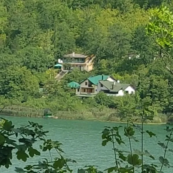 Union apartmani Boracko jezero，位于科尼茨的酒店