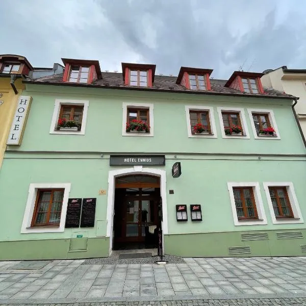 Hotel Ennius，位于Nýrsko的酒店