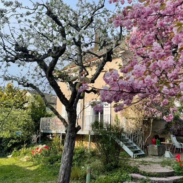 au jardin，位于楚赫维尔的酒店