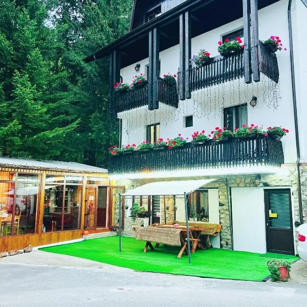 Cabana Din Poienita，位于波亚纳布拉索夫的酒店
